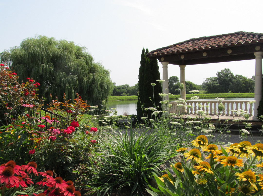 Blue Sky Vineyard主图