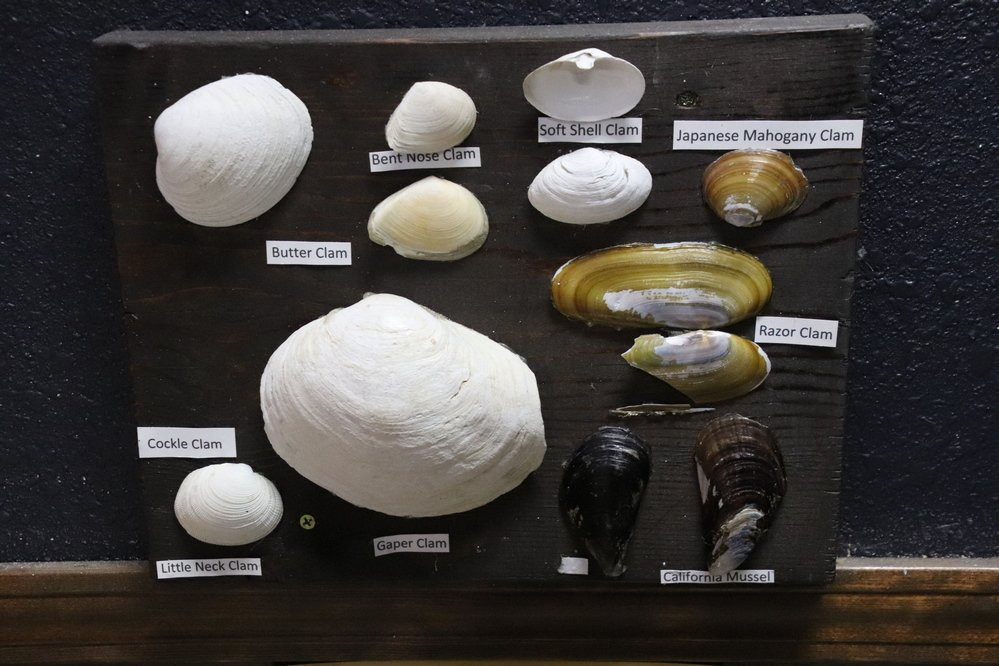 Whale, Sea Life and Shark Museum-Depoe Bay必去景点