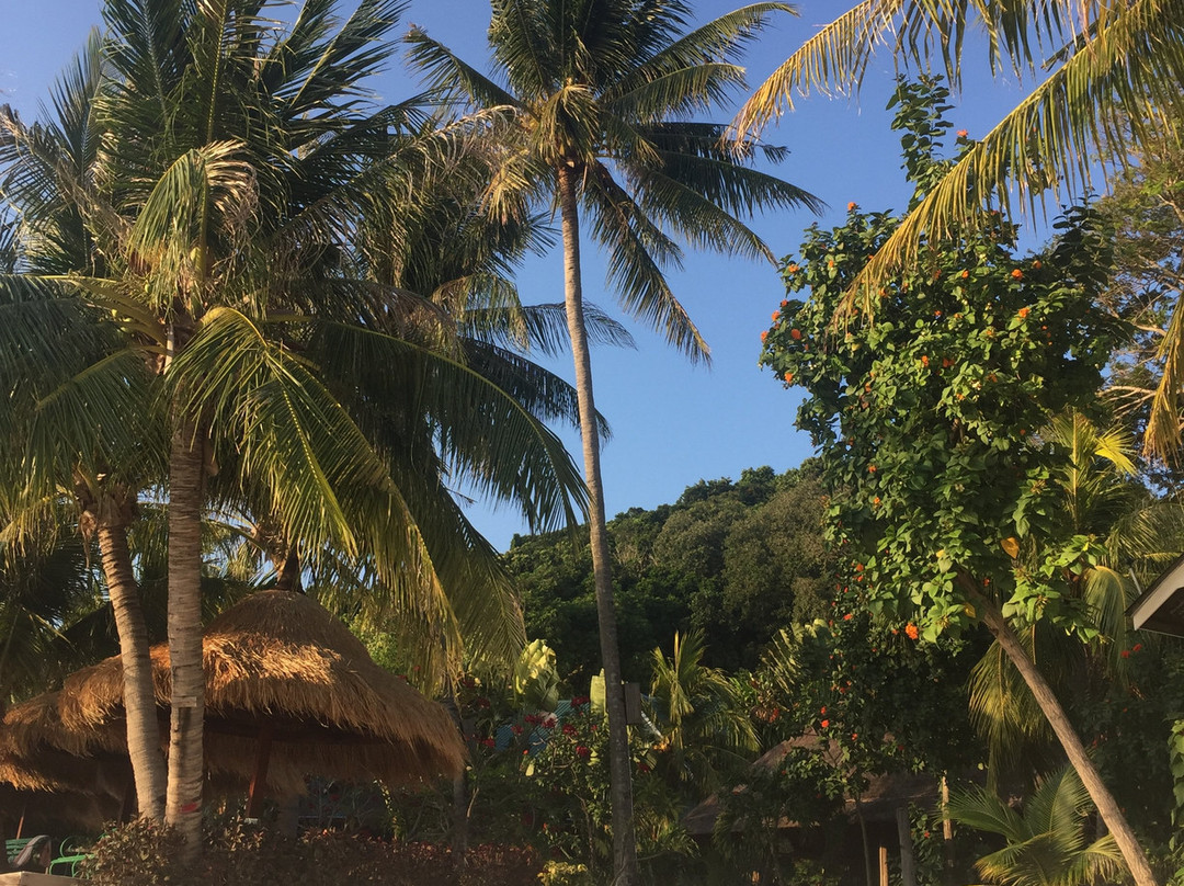 OrcaNation Singapore-新加坡必去景点