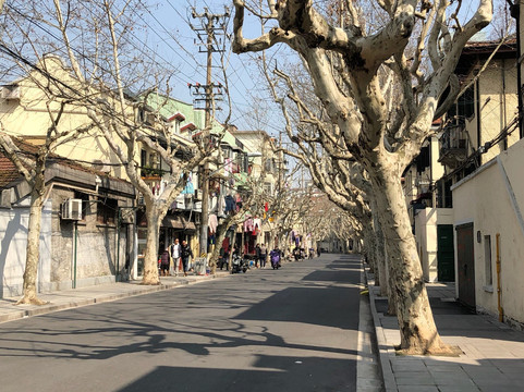 长乐路-上海市必去景点