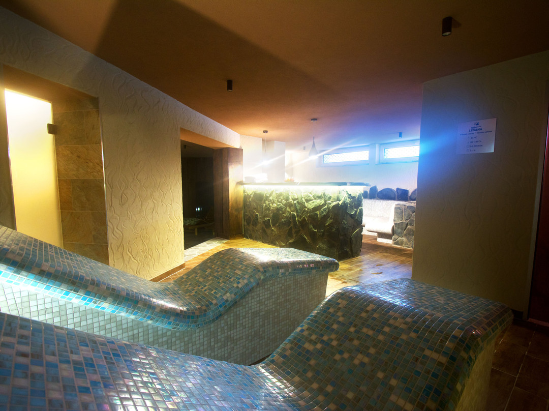 Hotel Lesana主图