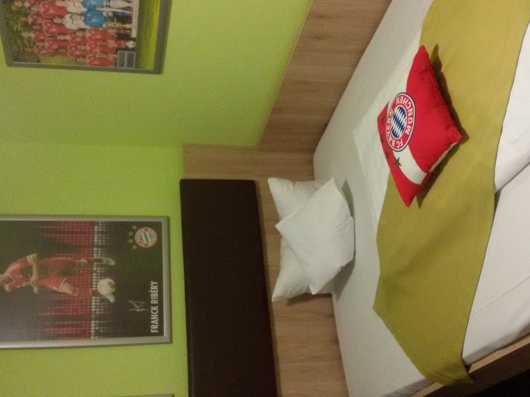 Hotel Blauer Karpfen主图