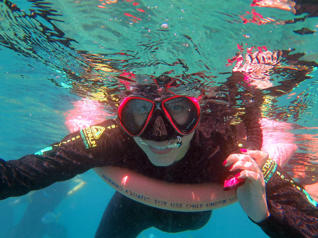 艾尔利滩-艾尔利滩必去景点