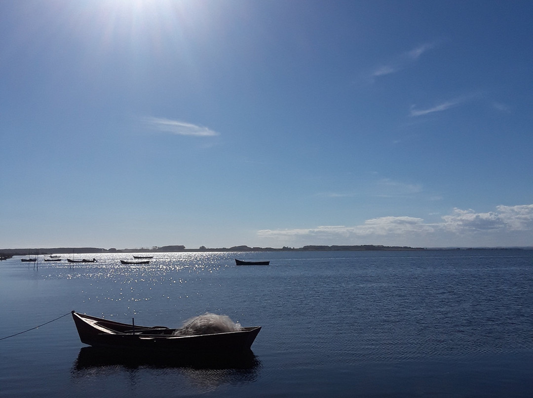 Laguna de Rocha-Rocha必去景点