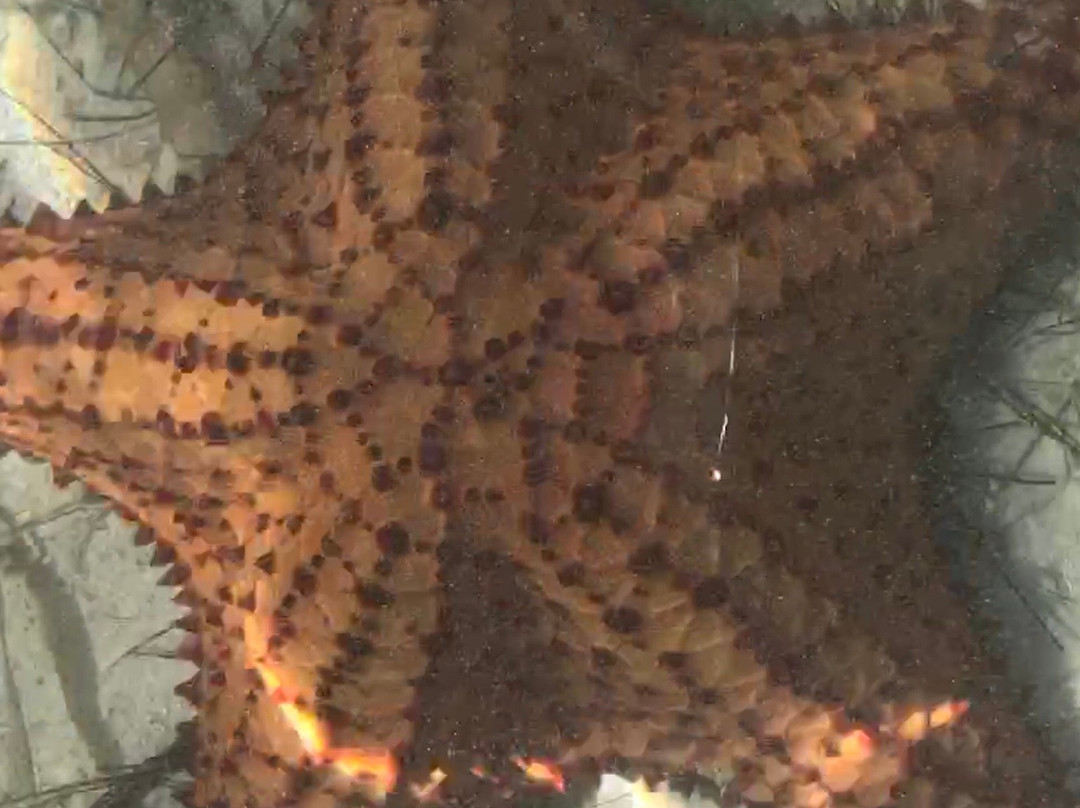 ​Eleuthera Sailing Adventures-Dunmore Town必去景点