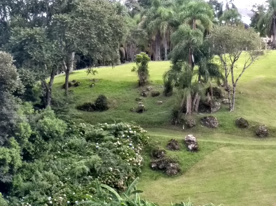 Pousada Recanto das Palmeiras主图