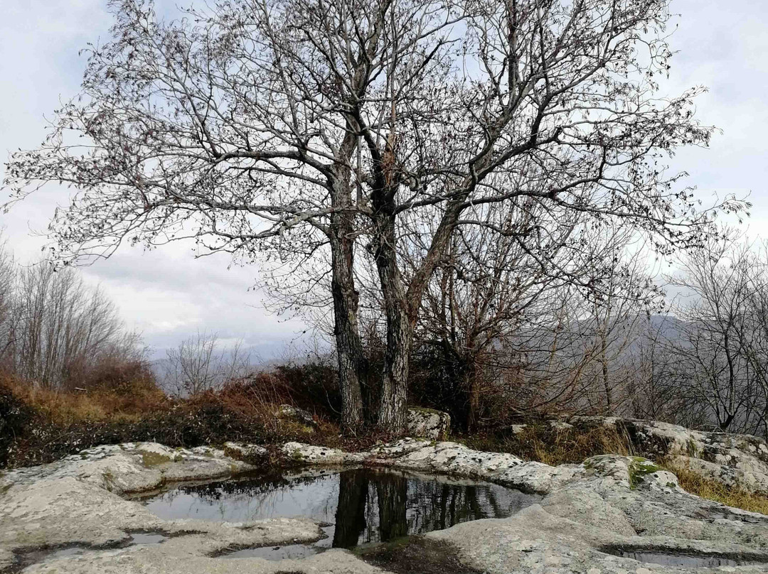 Parco archeologico della Civitella景点图片