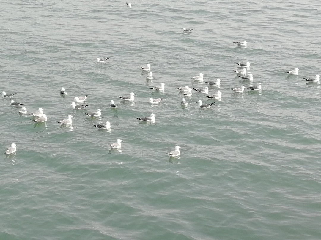 威海公园-威海市必去景点