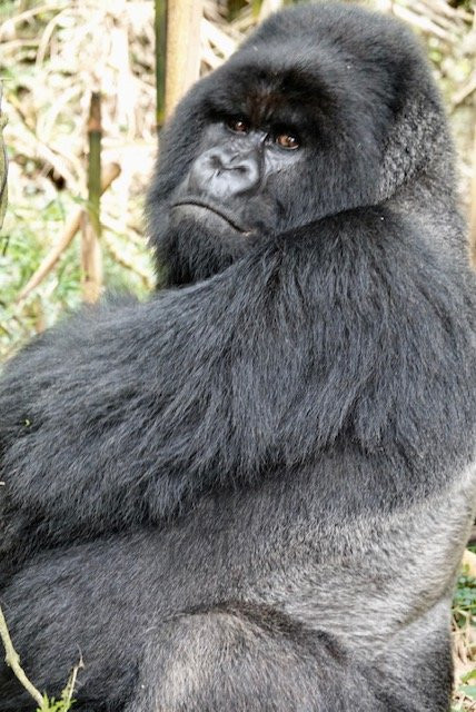 Nature Expeditions Africa-吉佳利必去景点