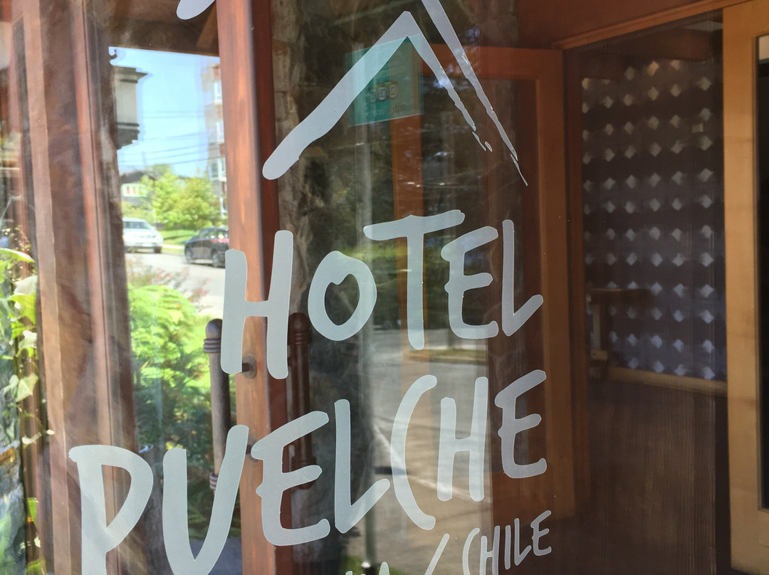 Hotel Puelche主图