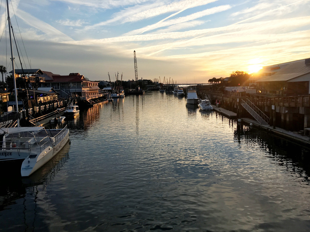 Charleston Historic Tours景点图片