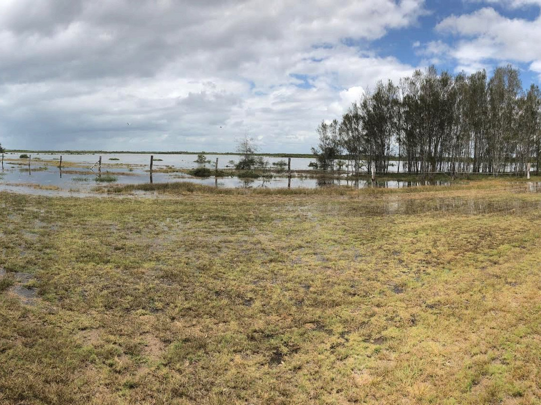 Fraser Coast RV Park-River Heads必去景点