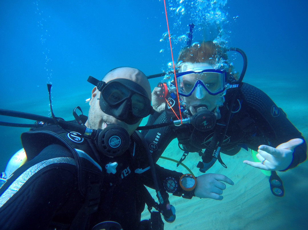 Dive Cabarete-苏莎亚必去景点