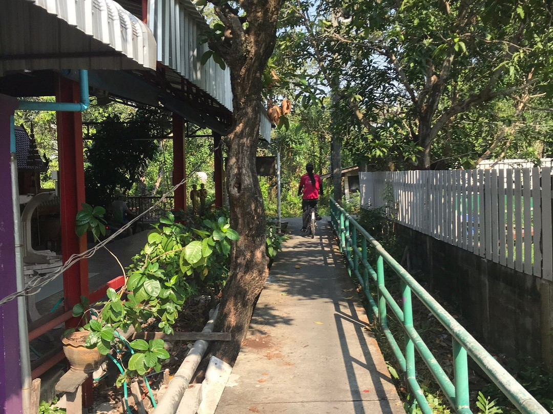 Bangkok By Bike-曼谷必去景点
