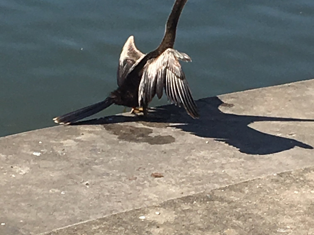 Lake Mirror-莱克兰必去景点