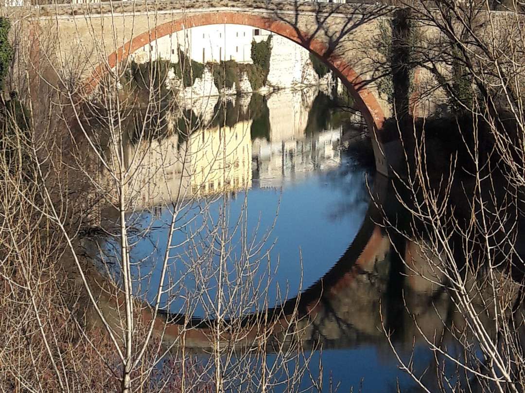 Ponte della Concordia景点图片