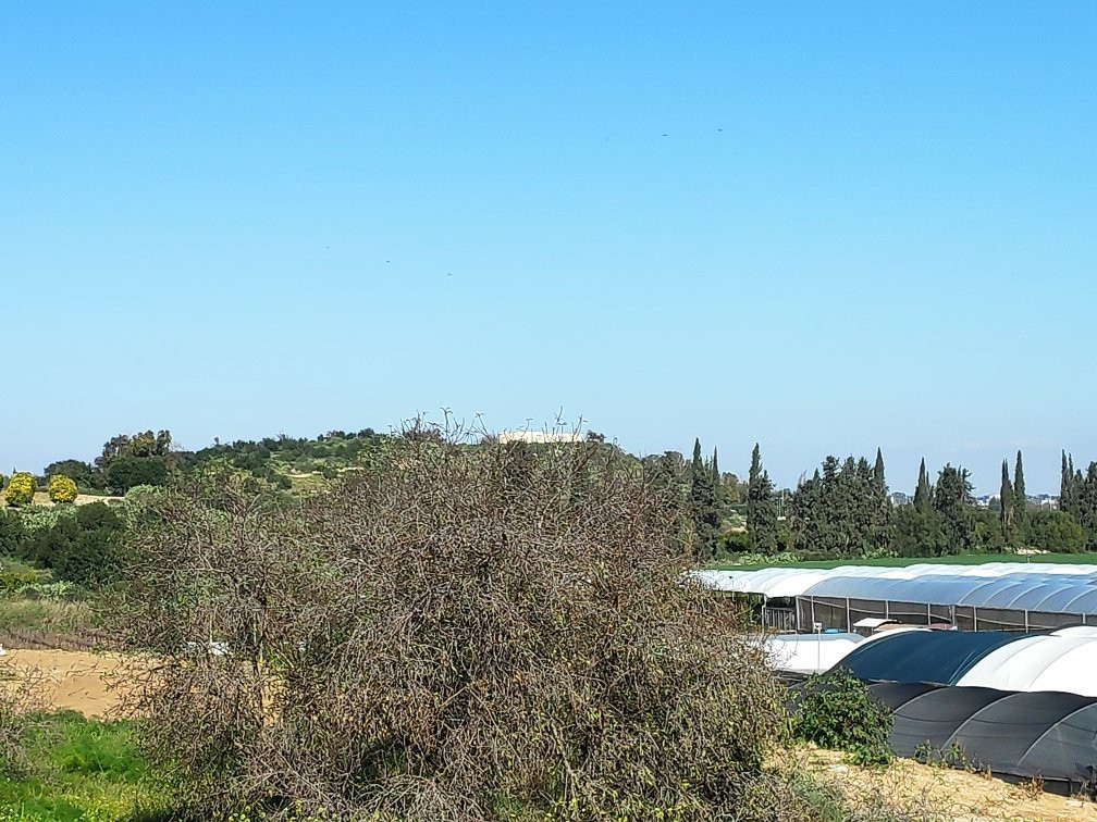 Farm on the Hill-Gedera必去景点