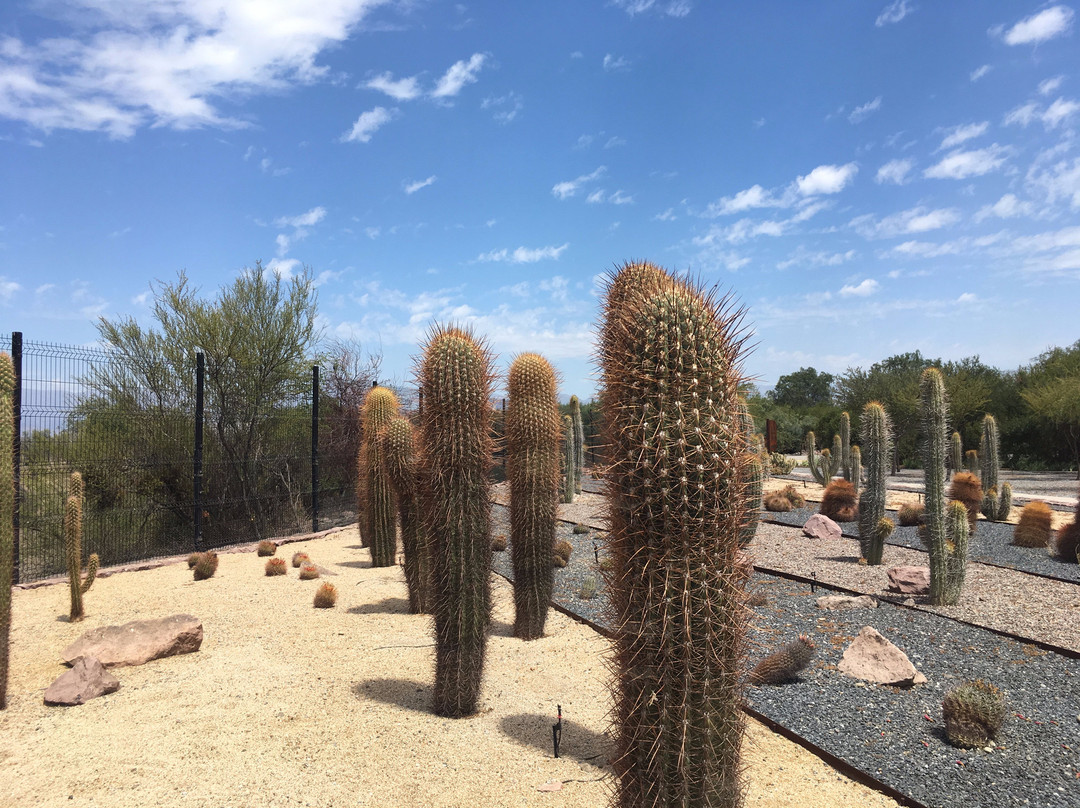 Quilapilun Parque Explorador-圣地亚哥必去景点