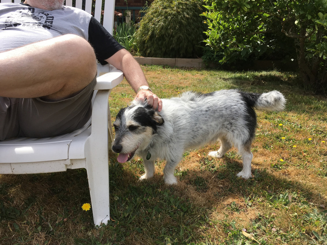 绿山墙的床和早餐 酒店主图