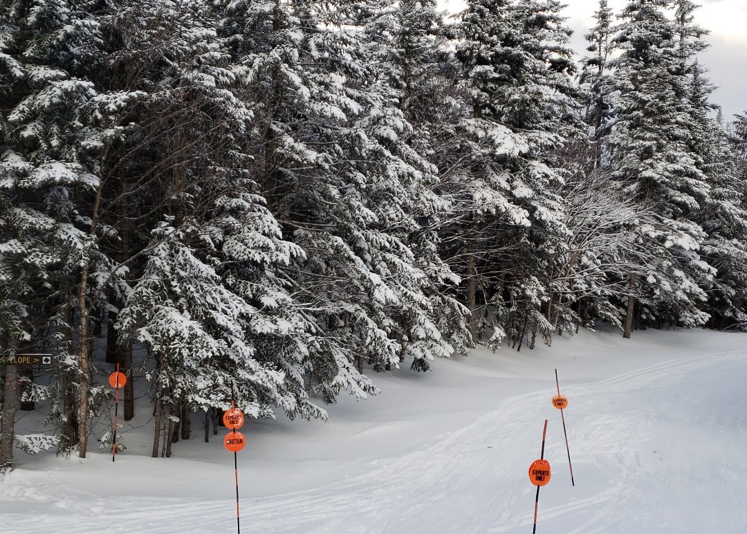 Mad River Glen-Waitsfield必去景点