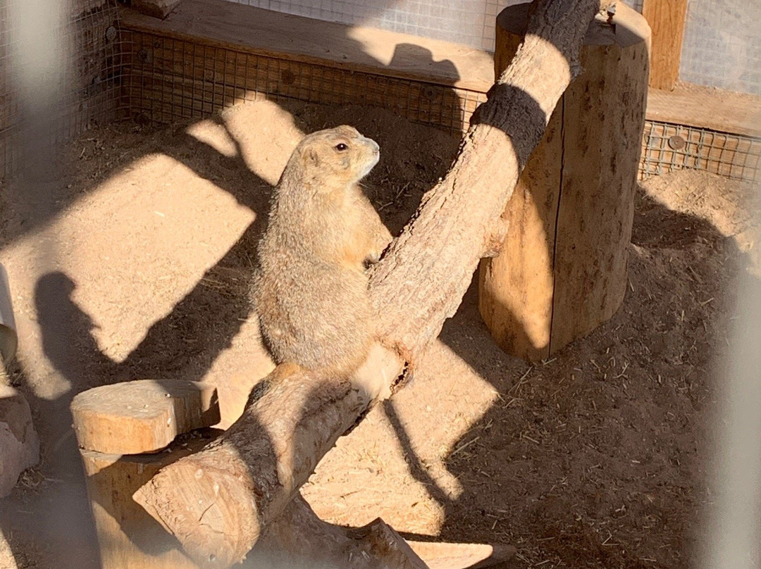 Bonnie Springs Old Nevada-Blue Diamond必去景点