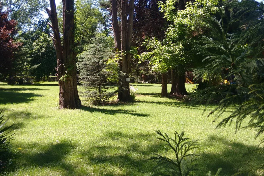 Posada Parque El Tajamar主图