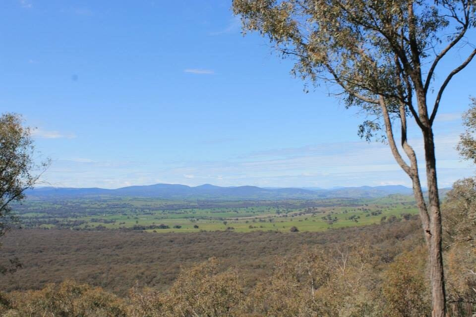 Benambra National Park景点图片