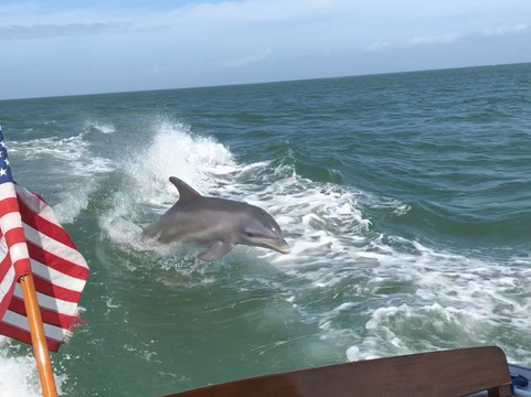 Downeast Charters-Cape Haze必去景点