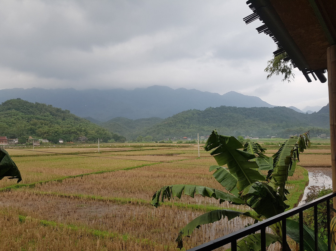 Little Mai Chau Home Stay主图