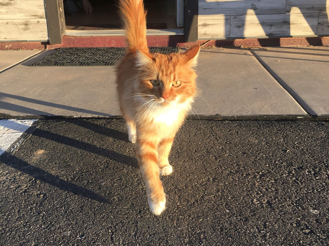 The Sky Rider Suites主图