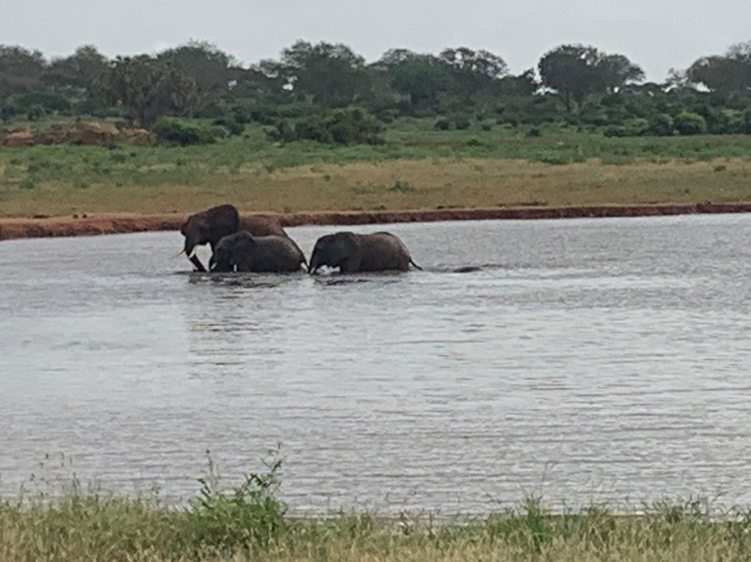 Eddie's Safari Kenya-蒙巴萨必去景点