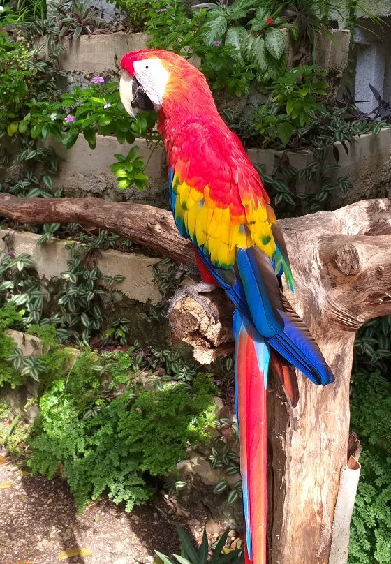 Zoologico Payo Obispo-切图马尔必去景点