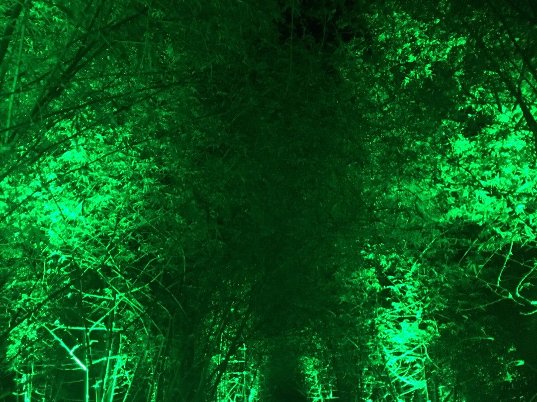 Bambusetum Park-Ligao必去景点