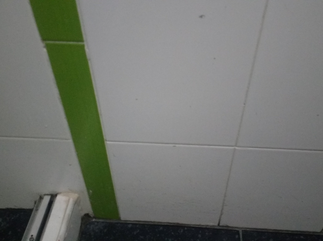 Hotel D'Leon Inn主图