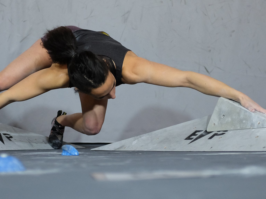 Modjo escalade-雷恩必去景点