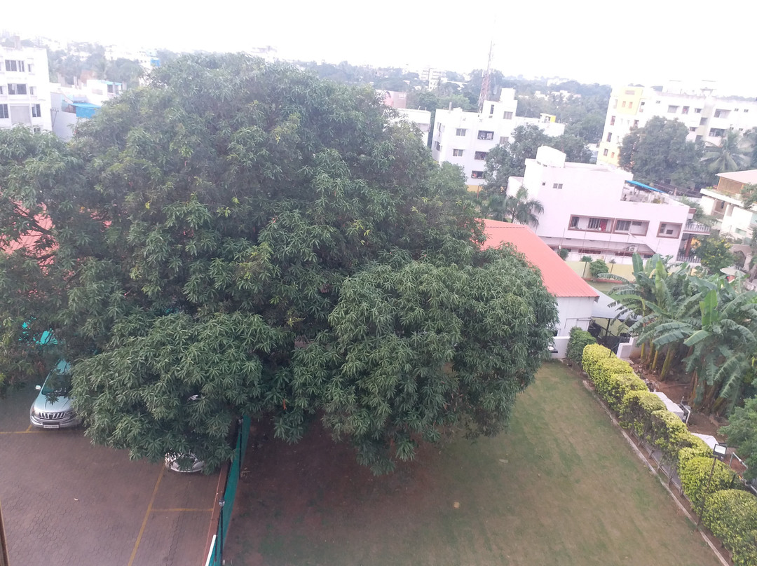 Hotel Anand Regency主图