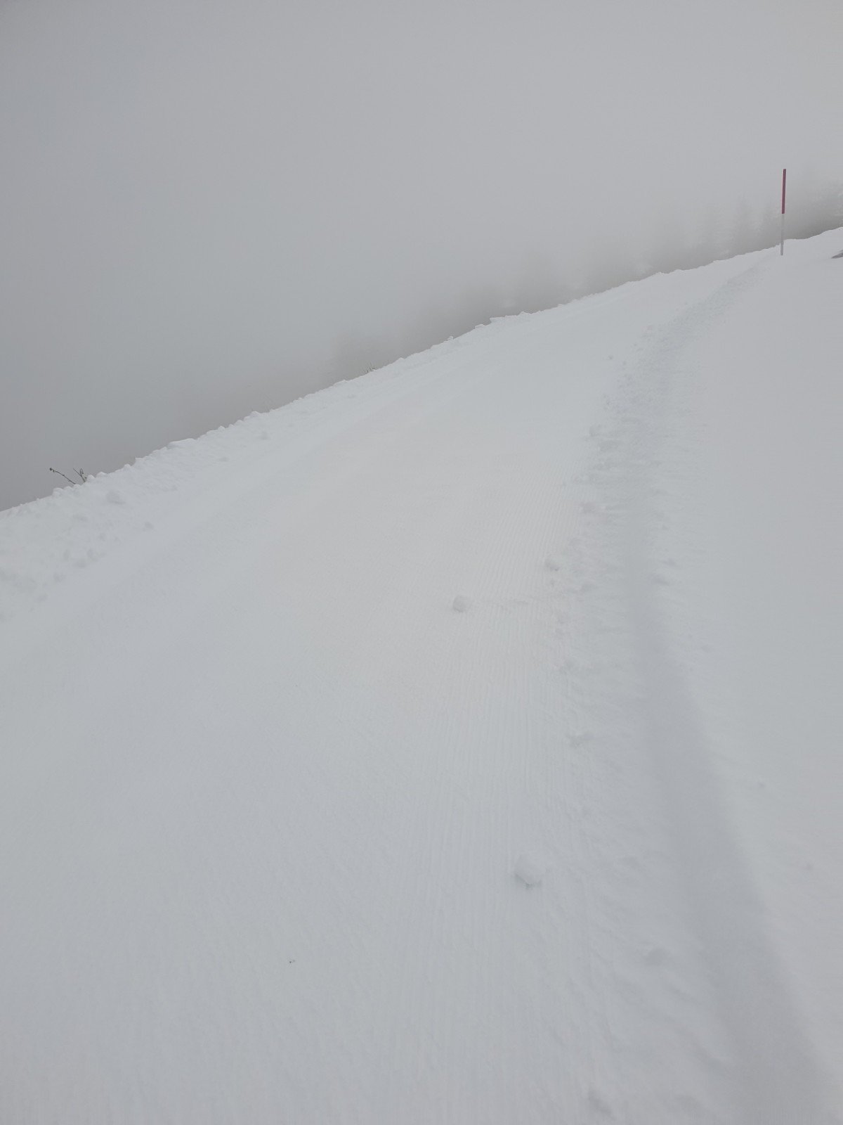 Molseralp-官方