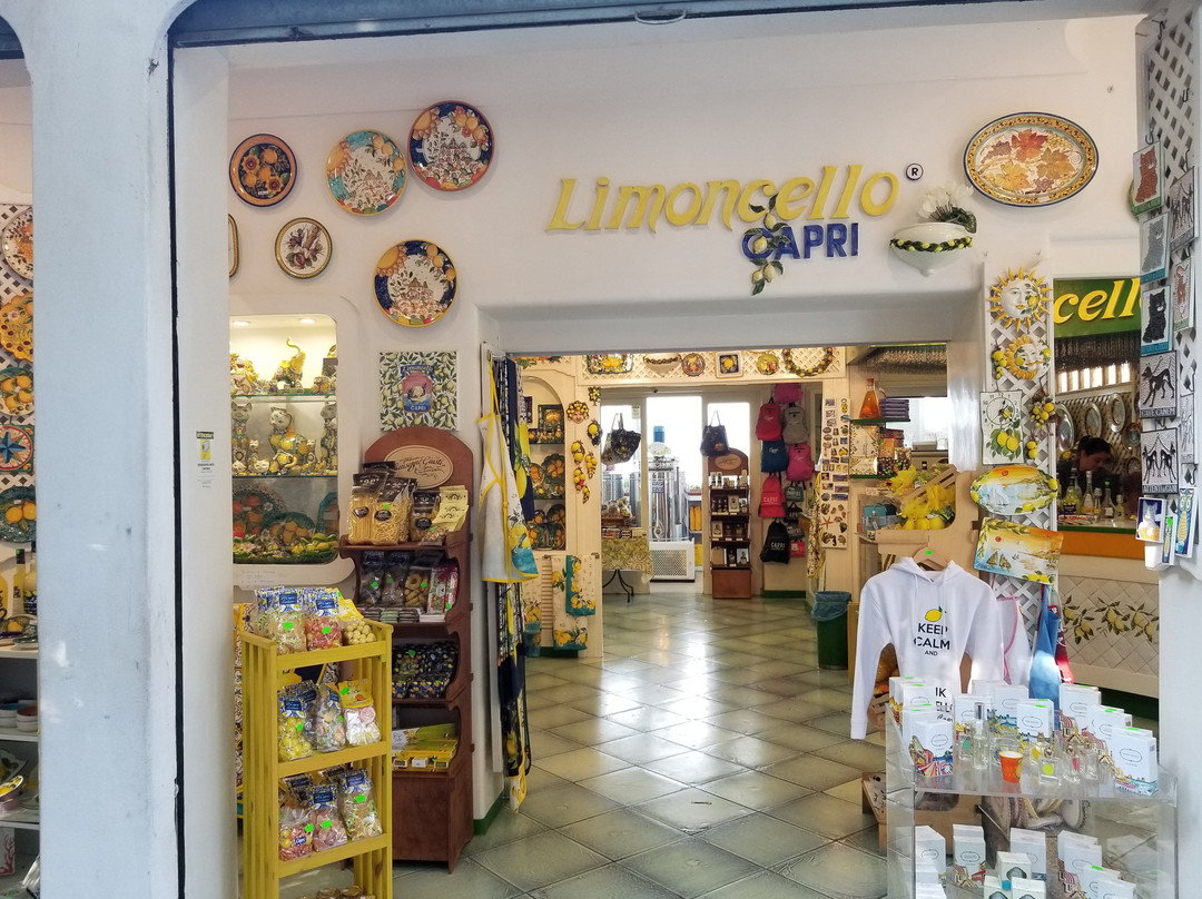 Private Tours of Capri - Day Tour-卡碧岛必去景点