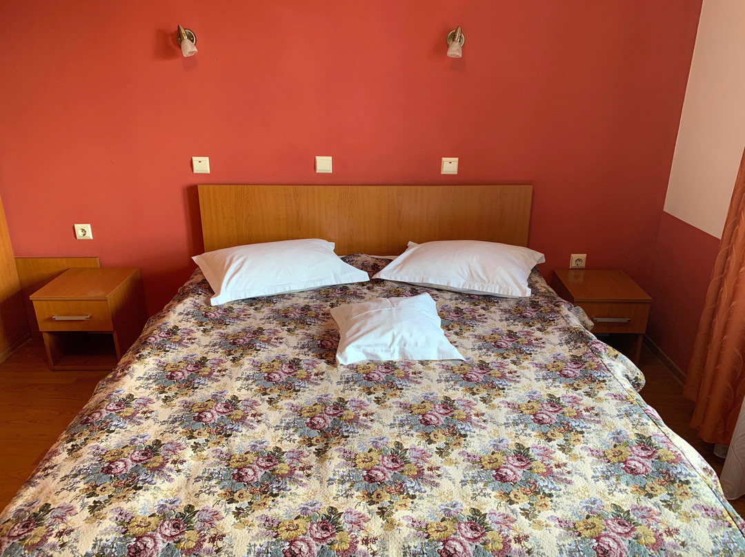 Pensiunea Confort主图