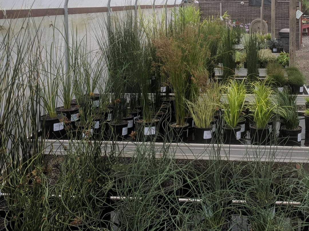 Hughes Water Gardens-图拉丁必去景点