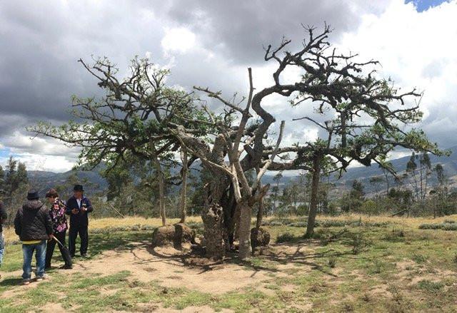 El Lechero-奥塔瓦洛必去景点