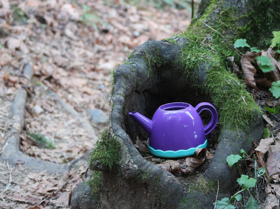 Teapot Hill-Cultus Lake必去景点