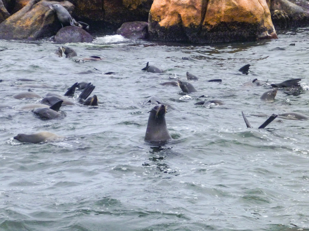 Isla de Lobos-埃斯特角城必去景点