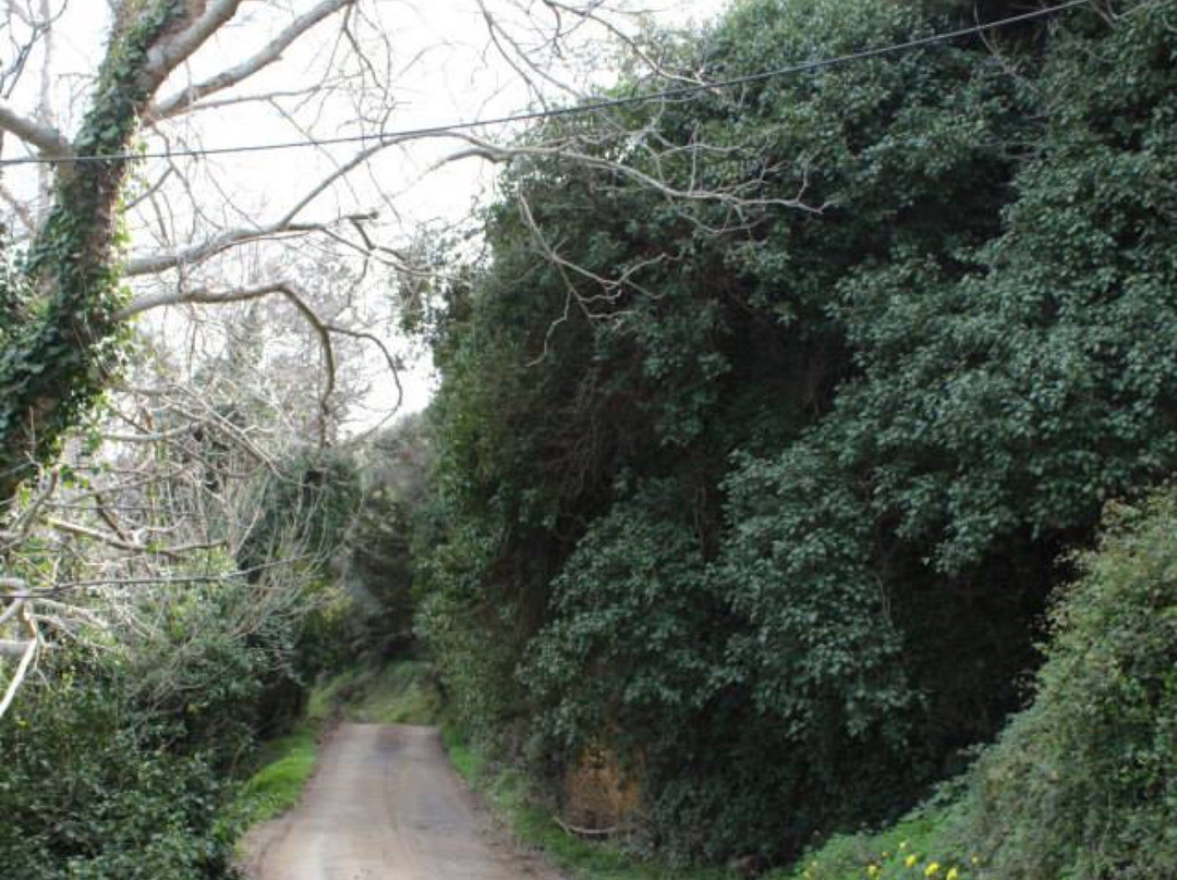 Kato Vrisi-Astritsi必去景点