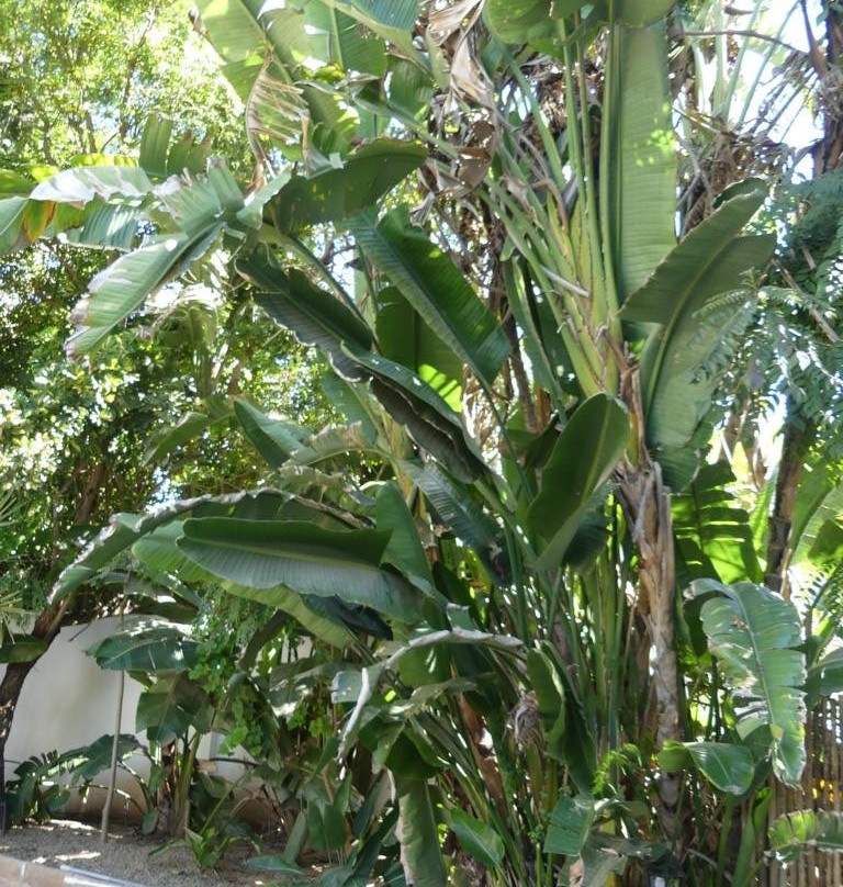 Woodall Country House & Spa主图