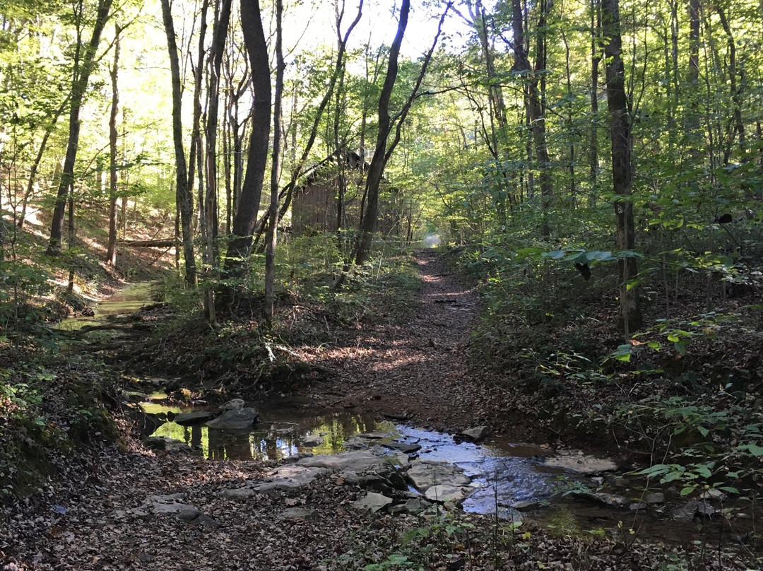 Rotary Park-克拉克斯维尔必去景点