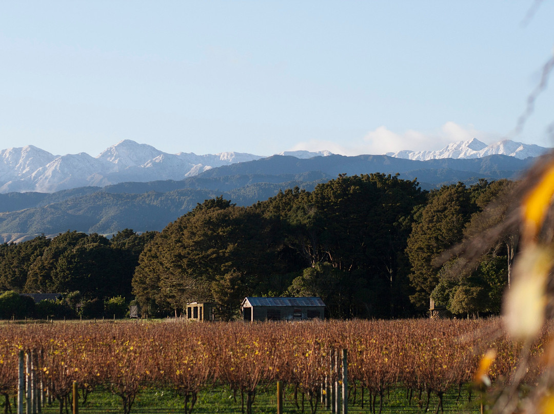 Ohau Wines-Ohau必去景点
