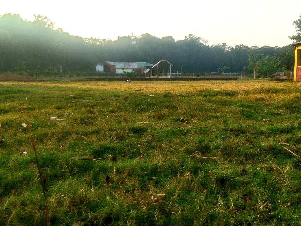 DoodhSagar Jungle Resort主图