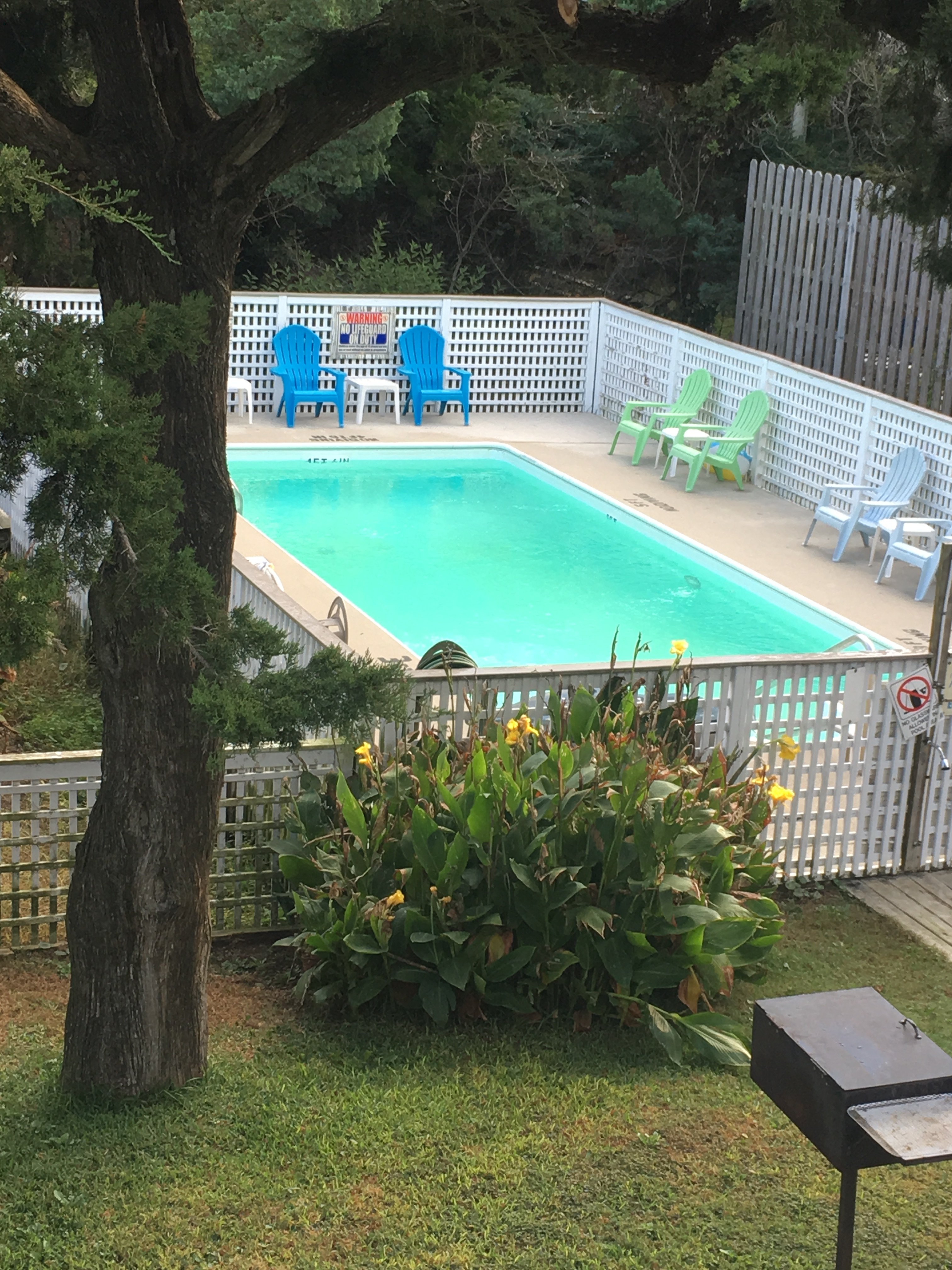Sand Dollar Motel-官方