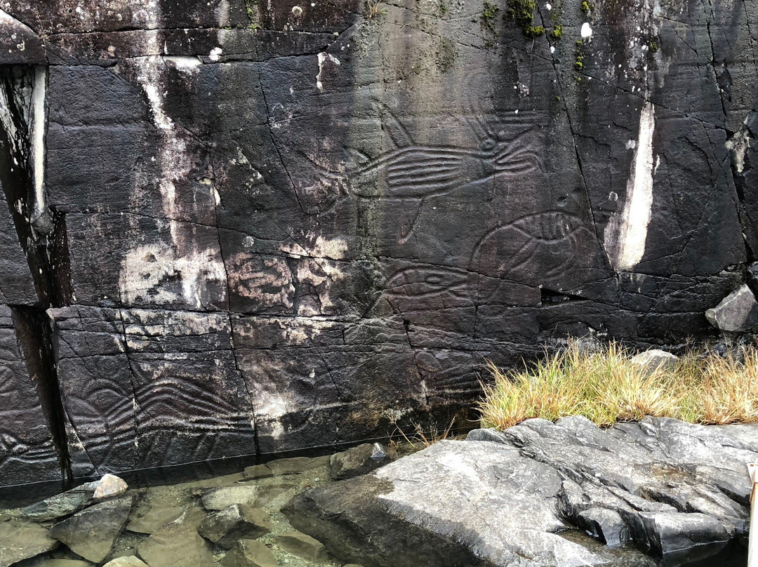 Petroglyphs at Sproat Lake景点图片